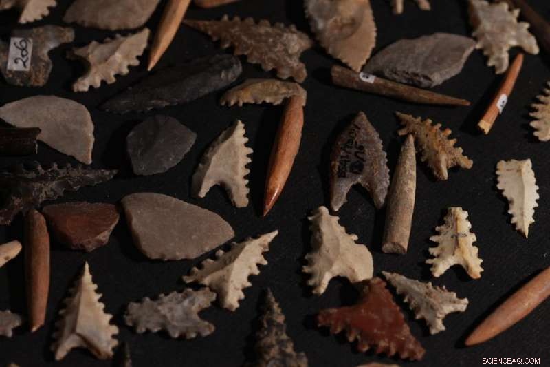 Ancient DNA from a Woman Reveals Origins of the Lost Toalean Culture