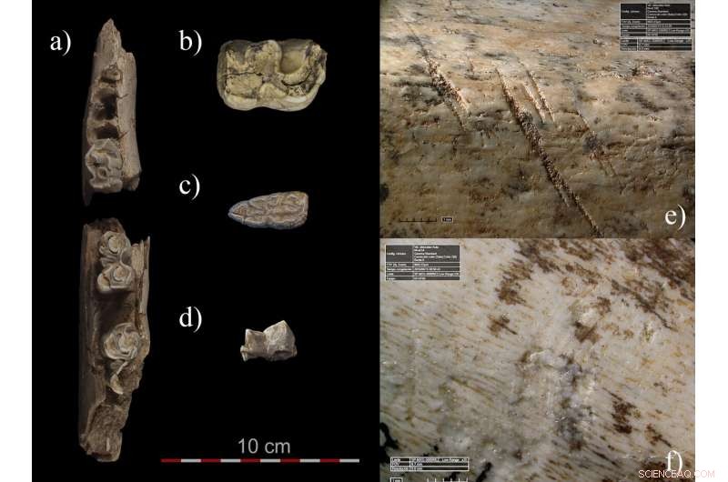 Neanderthal Hunting Camp Unearthed in Central Iberian Peninsula