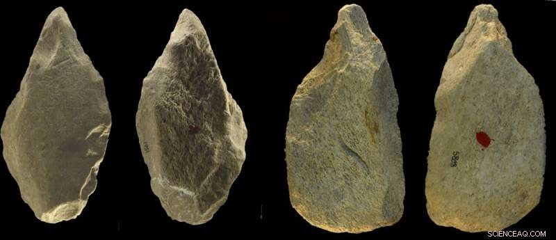 Scientists Uncover Record-Breaking Collection of Ancient Elephant Bone Tools