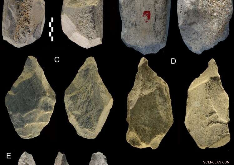 Scientists Uncover Record-Breaking Collection of Ancient Elephant Bone Tools