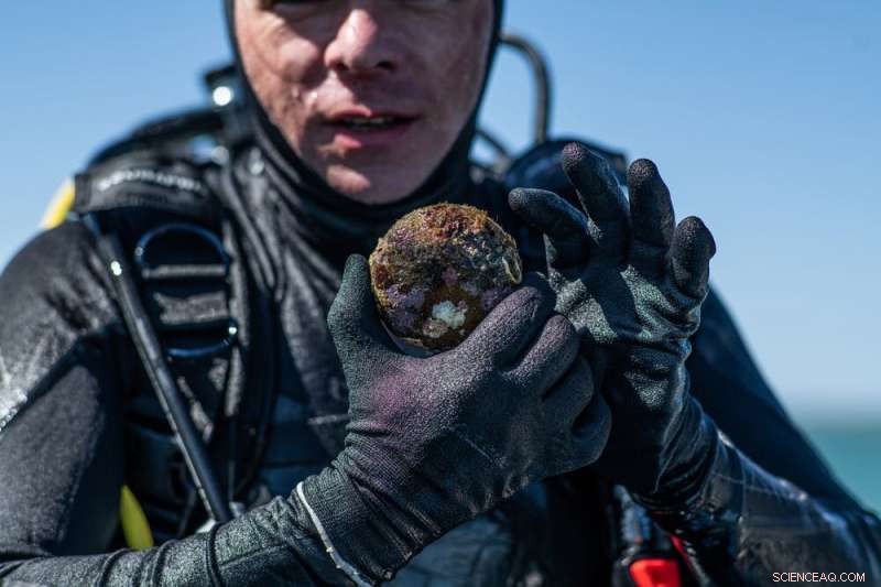 Australia s Coastal Waters Hold Hidden Indigenous Heritage—Urgent Threats Loom