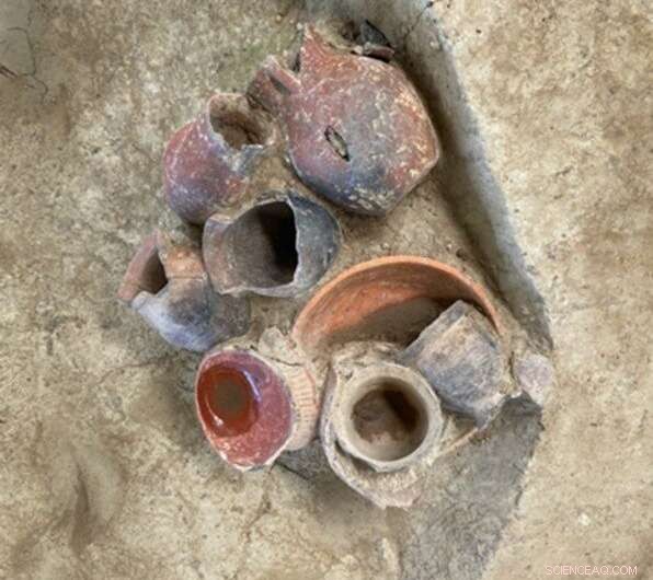 New Archaeological Study Reveals Beer Consumption 9,000 Years Ago in Southern China