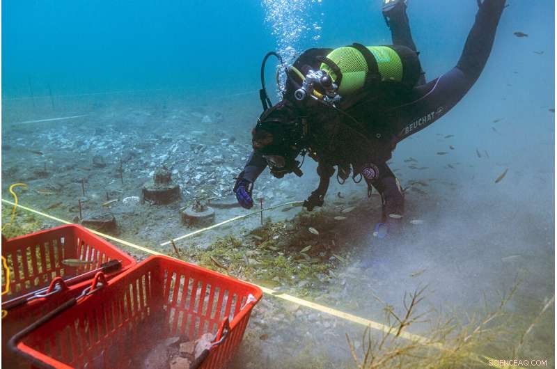 5th‑Millennium‑BC Pile Dwellings at Lake Ohrid Reveal Europe’s Earliest Farmers