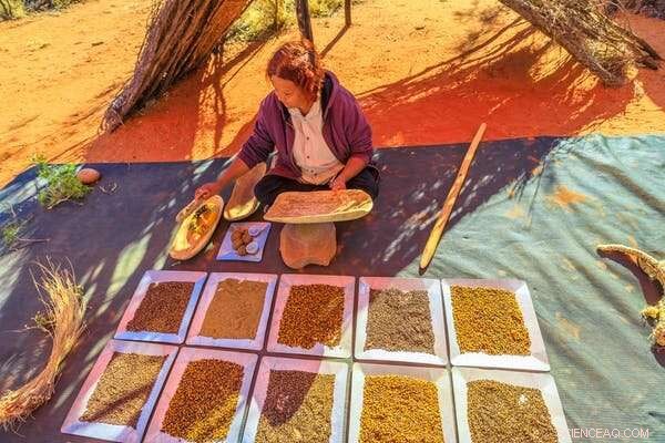 Bridging Tradition and Innovation: How Indigenous Technology Enhances Modern Living