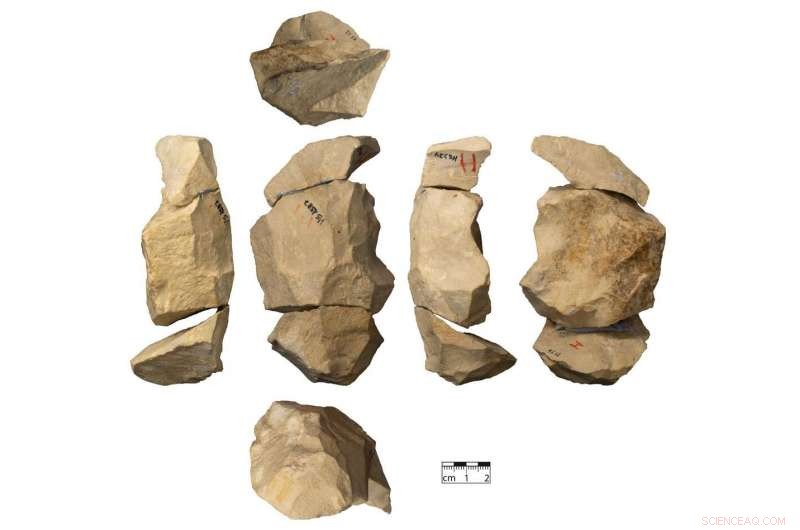Late Neanderthals Mastered Advanced Stone Tool-Making Techniques
