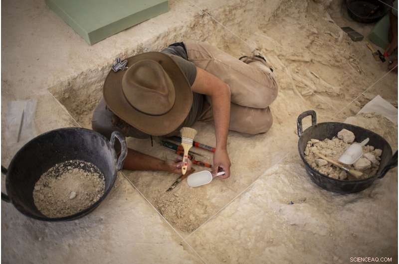 Early Human Adaptation in Europe: Environmental Factors and Migration