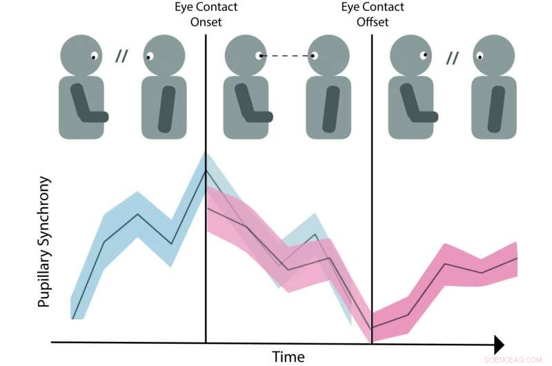 Why Eye Contact and Its Breaks Boost Conversation Engagement