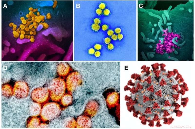 How Media Depicts SARS‑CoV‑2: Impact on Public Perception