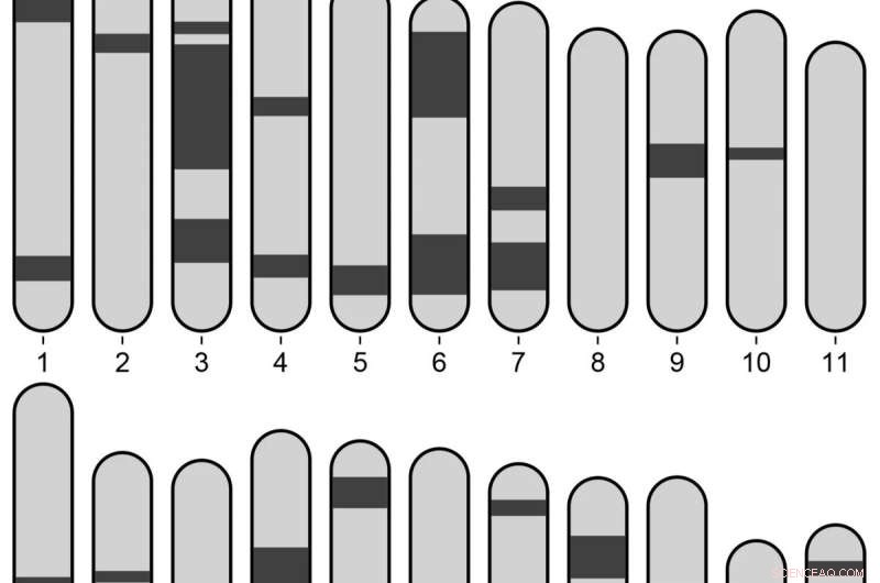 New Study Reveals Prehistoric Humans Rarely Married Cousins