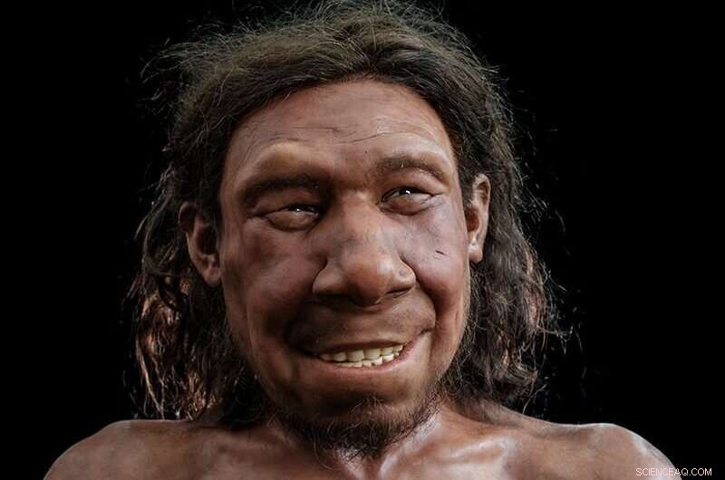 Unveiling Krijn: The Netherlands  Oldest Neanderthal Face Reconstructed