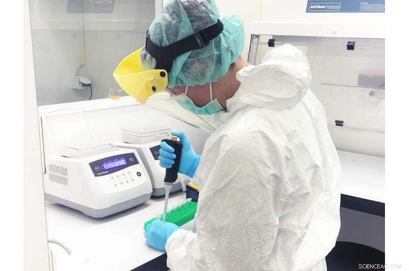 Milk Fuels Mass Migration Across Eurasian Steppe, Nature Study Shows