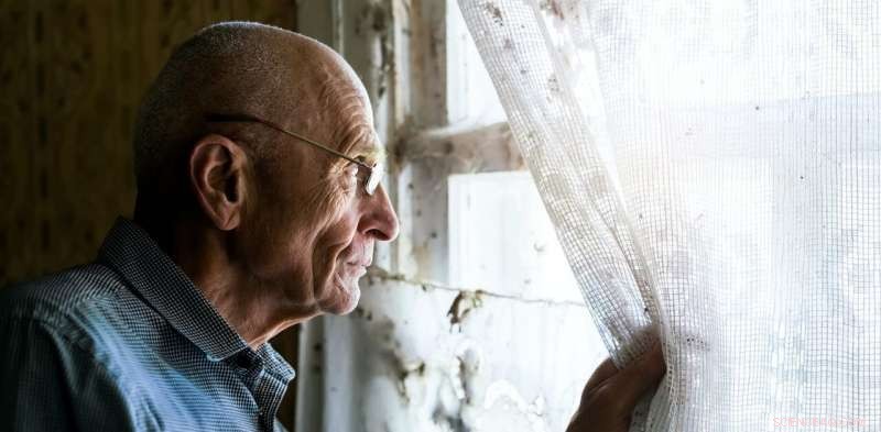 Why the Recent Decline in Social Cohesion Matters: Measuring Its Impact