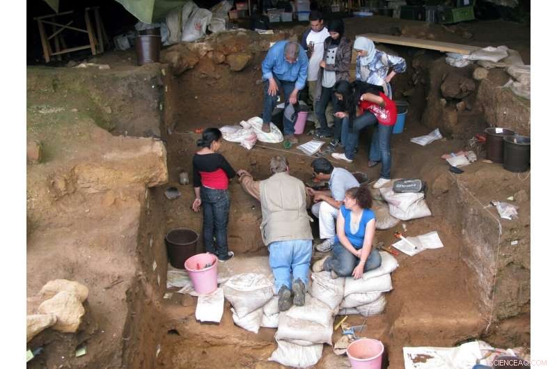 First Evidence of 120,000‑Year‑Old Bone Tools Used for Clothing in Morocco