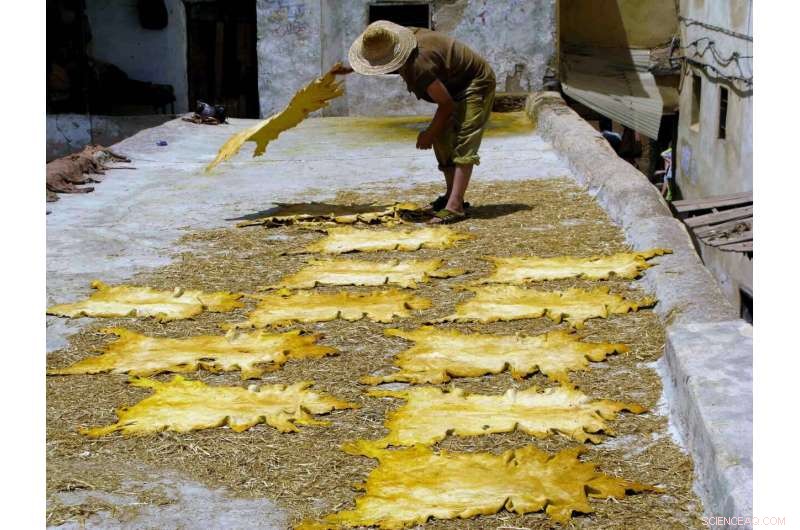 First Evidence of 120,000‑Year‑Old Bone Tools Used for Clothing in Morocco