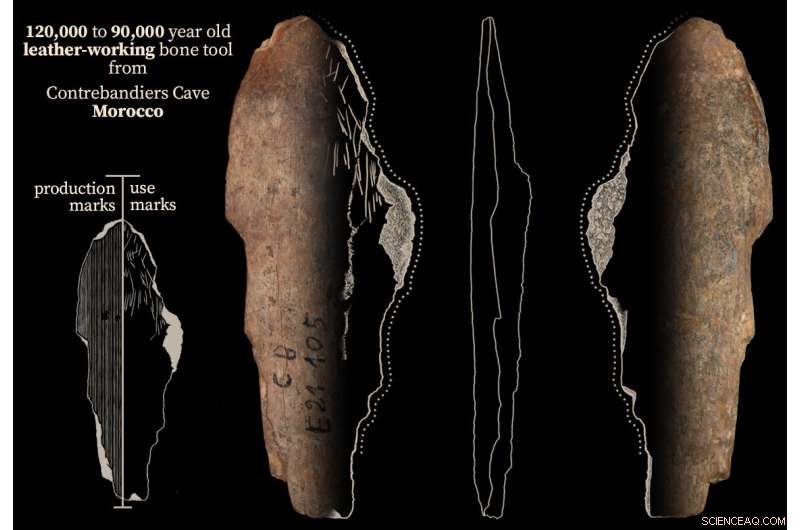 First Evidence of 120,000‑Year‑Old Bone Tools Used for Clothing in Morocco