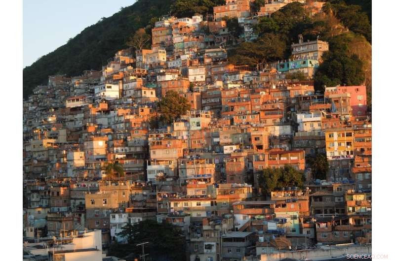 New Study Links Violence Exposure to Mental Health Struggles in Brazilian Favelas