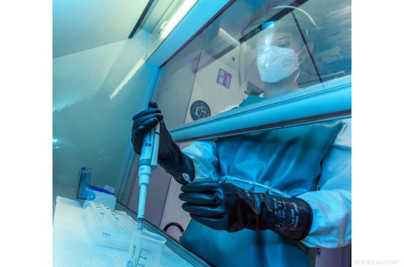 Early Homo sapiens Groups in Europe Confronted Subarctic Climates