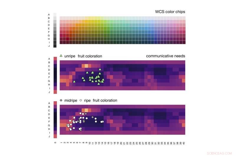 Researchers Map Words to Colors Across Languages with Novel Algorithm