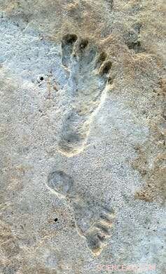 New Fossil Footprints Reveal Early Human Settlement of the Americas