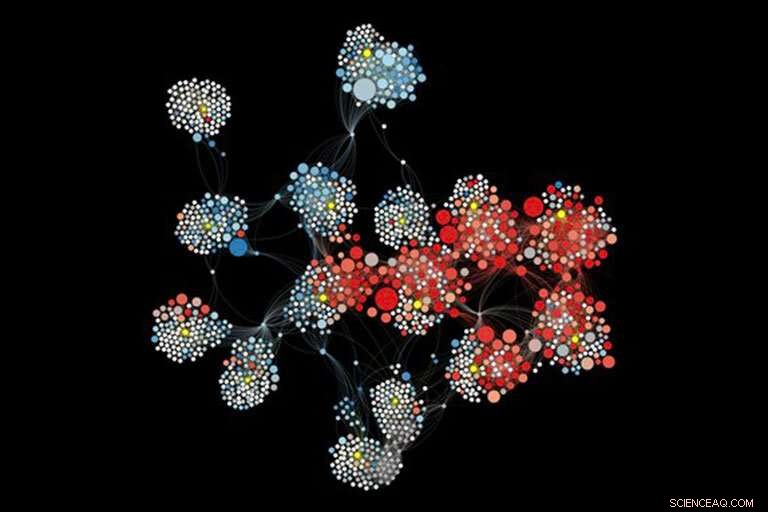 User-Driven Political Bias on Social Media, Not Platform Policies