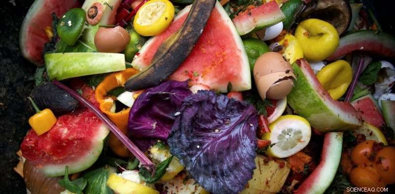 Cut Home Food Waste: 6 Proven, Evidence‑Based Strategies