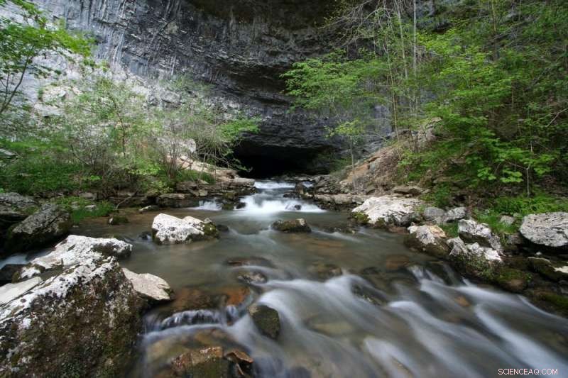 Southeast Native Americans Created Stunning Cave Art in the Region s Dark Zones