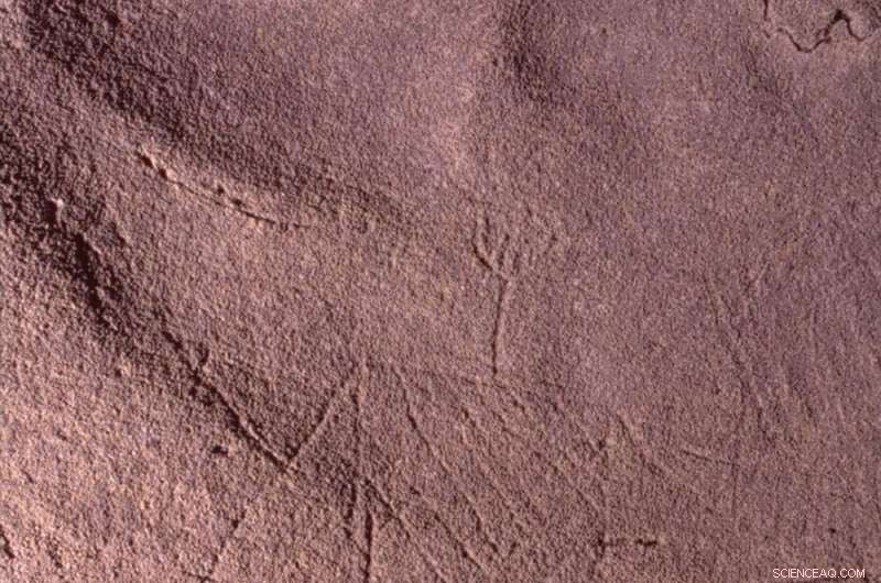 Southeast Native Americans Created Stunning Cave Art in the Region s Dark Zones