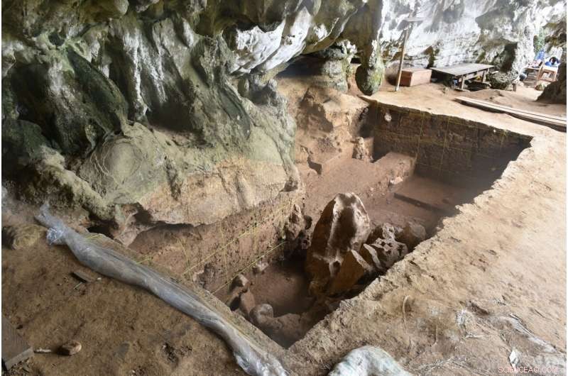 Sulawesi Cave Yields Earliest Human Remains in Wallacea: 170,000-Year-Old Jawbone