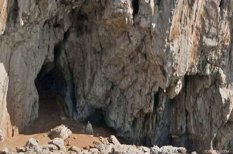 Gibraltar s Vanguard Cave Yields Newly Discovered Hidden Chamber – A Breakthrough in Gorham s Cave Complex