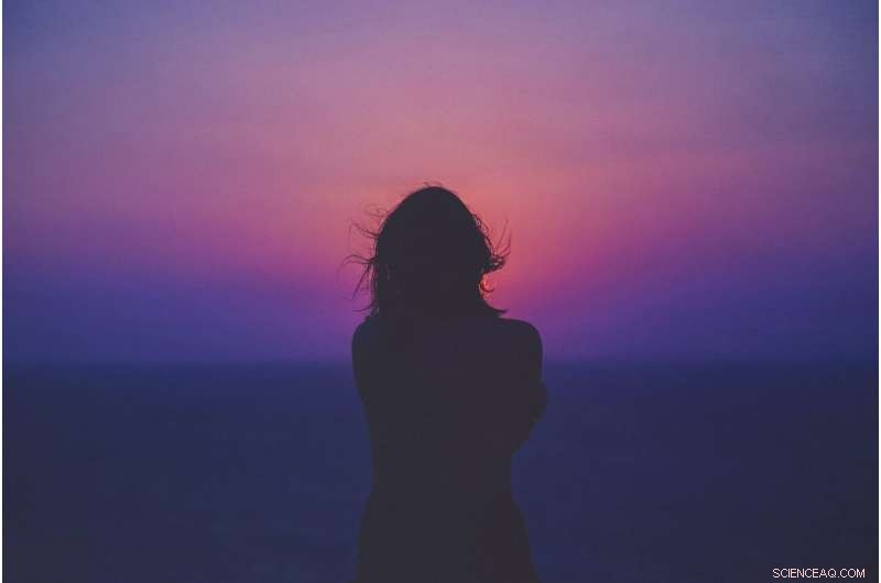 Study Highlights Urgent Demand for Adaptive, Survivor‑Centric Support in Domestic Violence Services