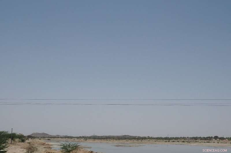 Late Persistence of Early Human Ancestors Along India’s Monsoon Frontiers