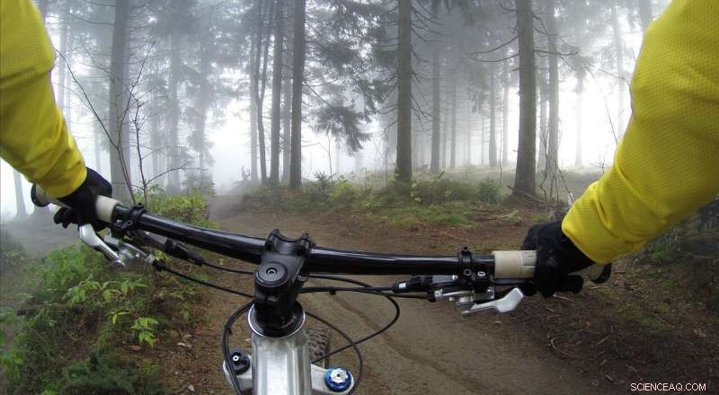 Global Study of 100M Bike-Share Trips Reveals Which Cities See Cyclists Brave Rain & Cold