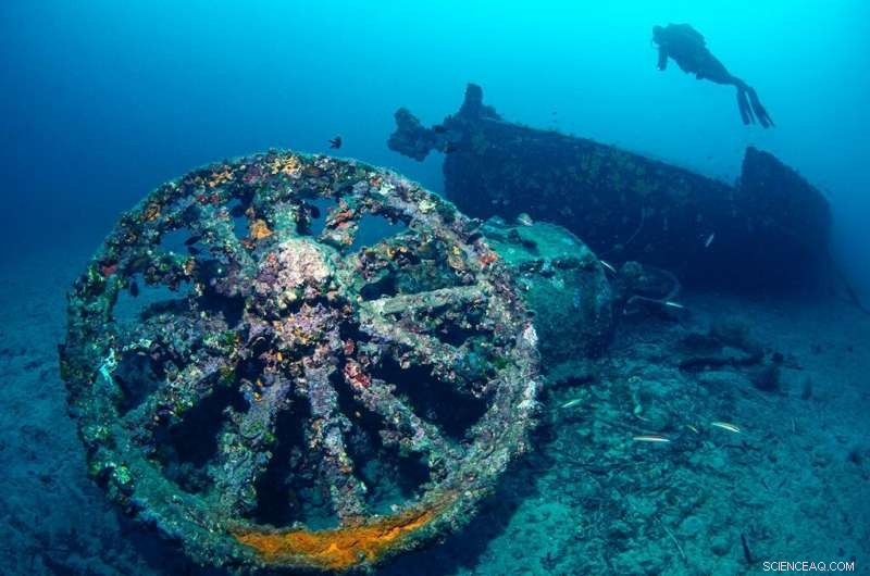 Explore Gallipoli’s WWI Shipwrecks: An Underwater Museum Now Open to Divers