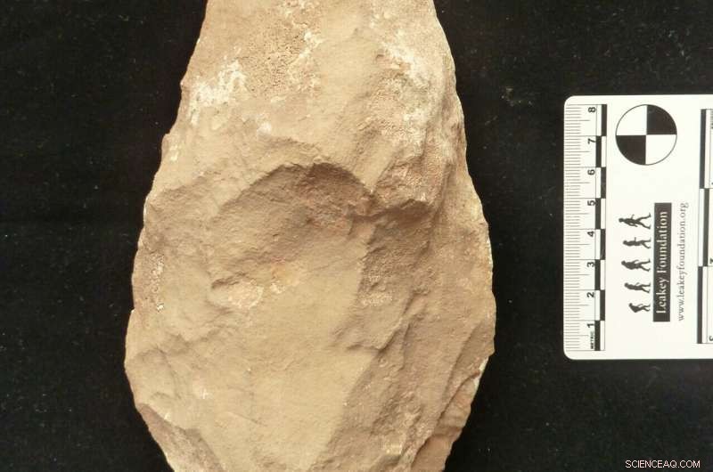 Discovering the Earliest Acheulean Tools in North Africa: A 1.7‑Million‑Year‑Old Biface from Algeria