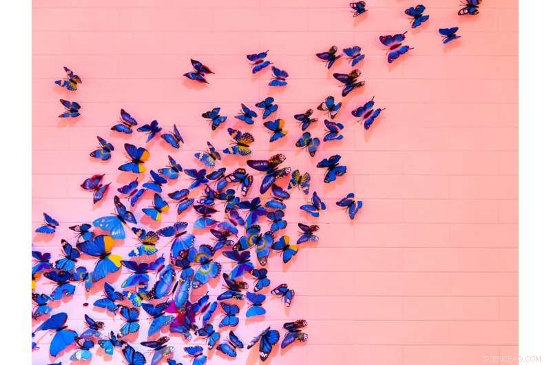 Understanding Chaos: Insights from a Complex Systems Scientist