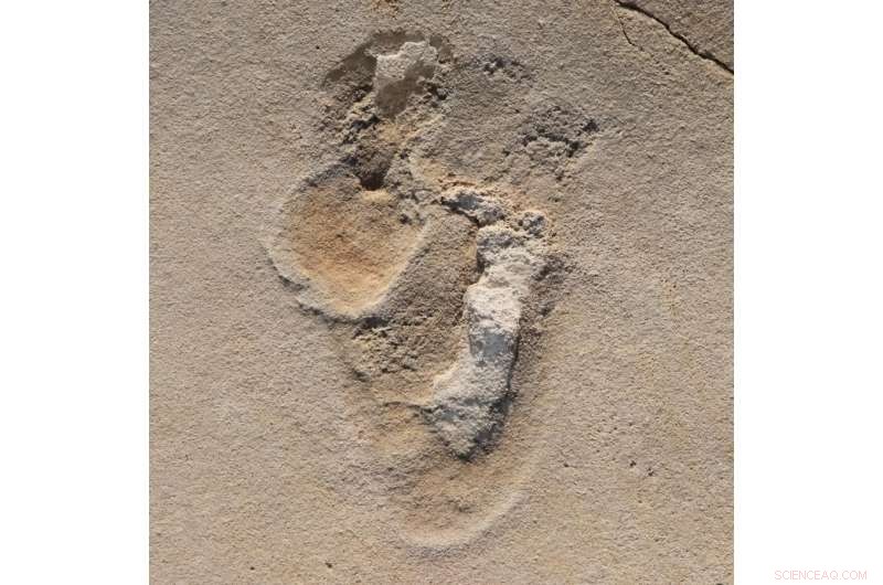 Ancient Pre-Human Footprints on Crete Dated to Over 6 Million Years Ago