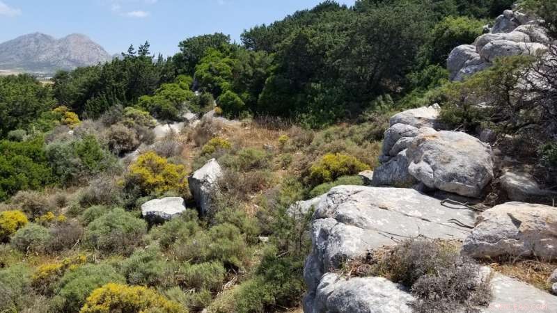 Hidden Marble Quarries Revealed as Source of Archaic Apollo Statue