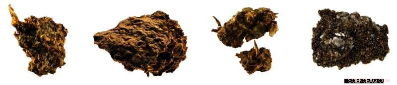 Ancient Fecal Evidence Reveals 2,700-Year-Old Austrians Consumed Beer and Blue Cheese