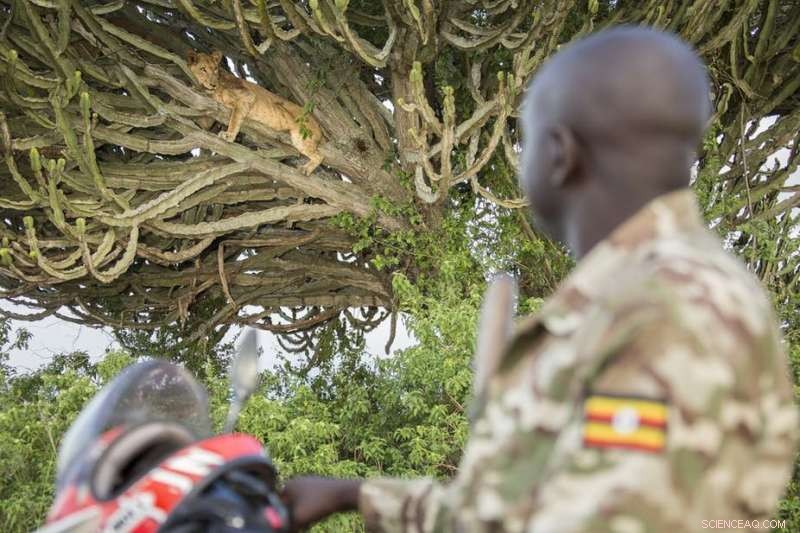 Impact of COVID-19 Travel Bans on Conservation Tourism in Africa