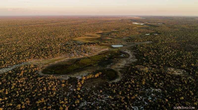 Small-Scale Foragers in Madagascar: Unearthing Rich Archaeological Traces Beyond Footprints