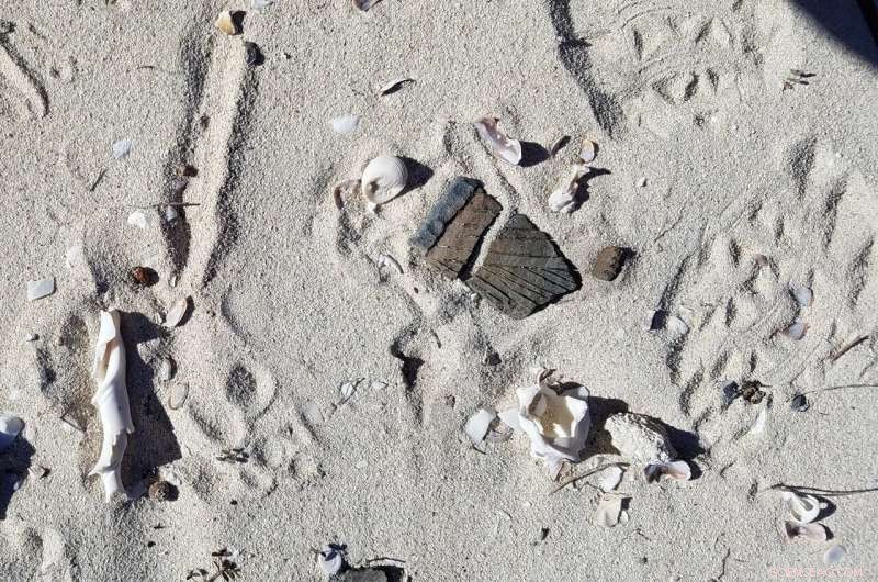 Small-Scale Foragers in Madagascar: Unearthing Rich Archaeological Traces Beyond Footprints