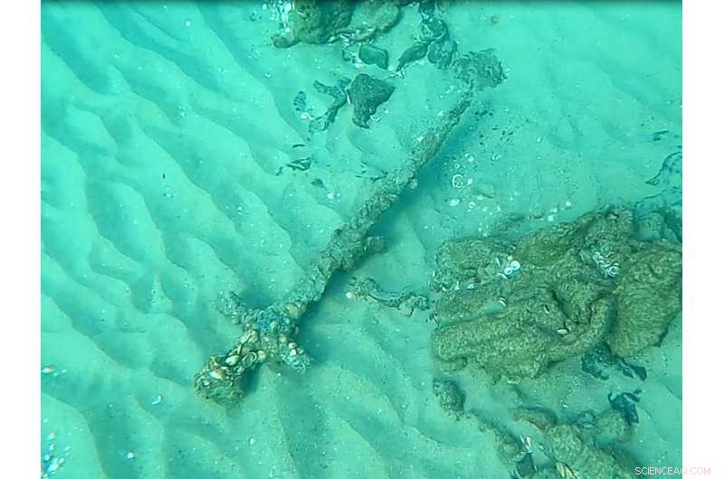 Israeli Diver Unearths 1-Meter Crusader Sword During Mediterranean Dive