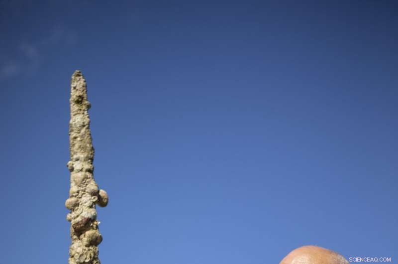 Israeli Diver Unearths 1-Meter Crusader Sword During Mediterranean Dive