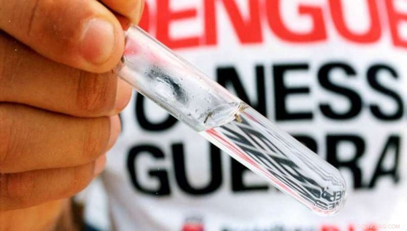 New Gold Nanosensor Enhances Accurate Detection of Dengue vs. Zika Infections