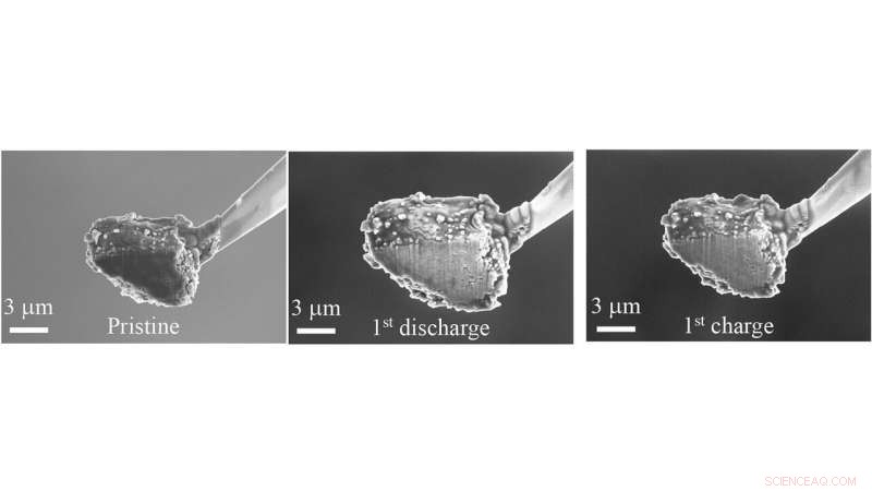 Revolutionizing Lithium‑Ion Anodes: Enhanced Capacity and Stability
