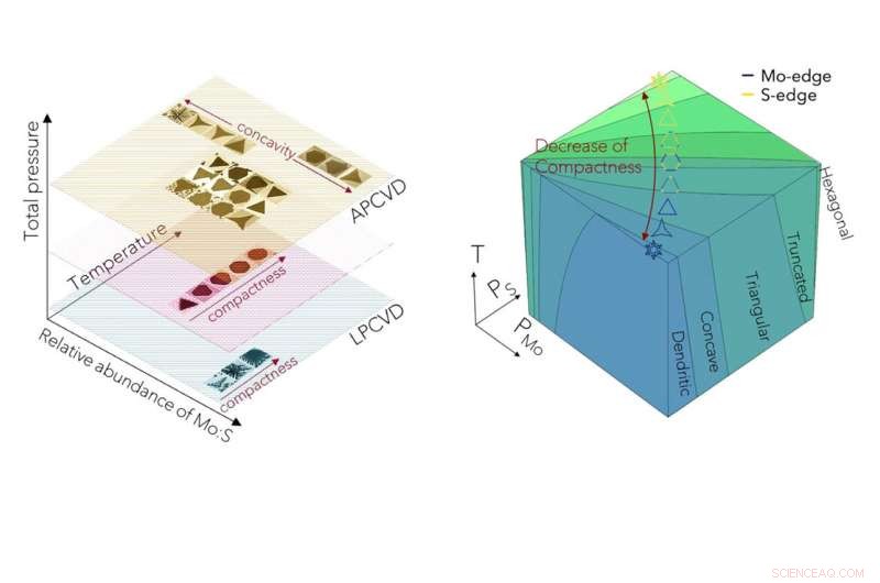 Mapping Crystal Shapes Accelerates Development of 2‑D Materials