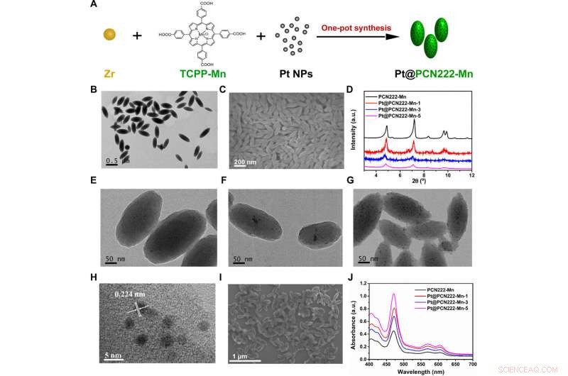 Engineered Nanozymes Target Reactive Oxygen Species for Enhanced Anti-Inflammatory Therapy