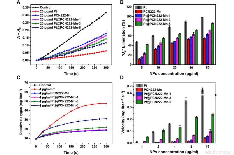 Engineered Nanozymes Target Reactive Oxygen Species for Enhanced Anti-Inflammatory Therapy
