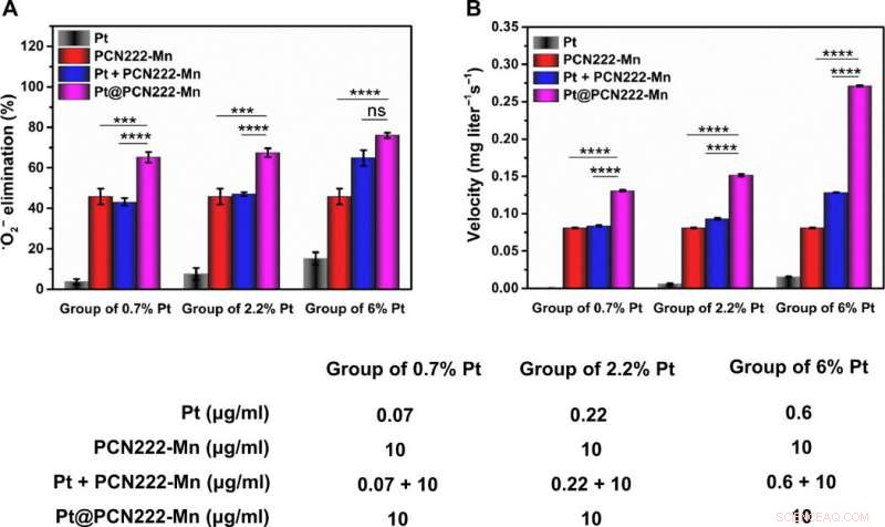 Engineered Nanozymes Target Reactive Oxygen Species for Enhanced Anti-Inflammatory Therapy