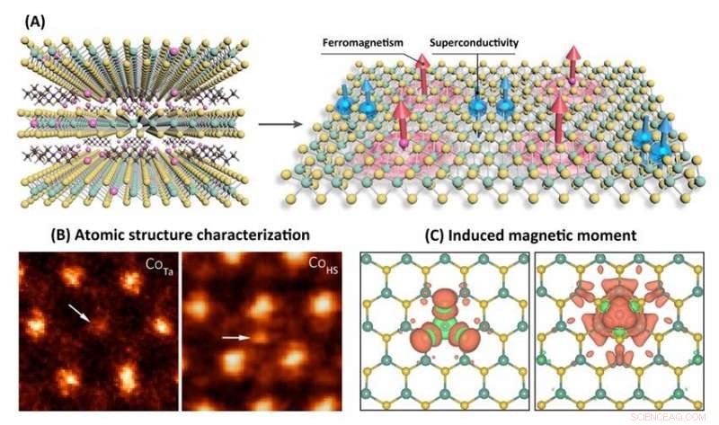 Integrating Ferromagnetism and Superconductivity within a Single-Atom Layer Molecular Superlattice
